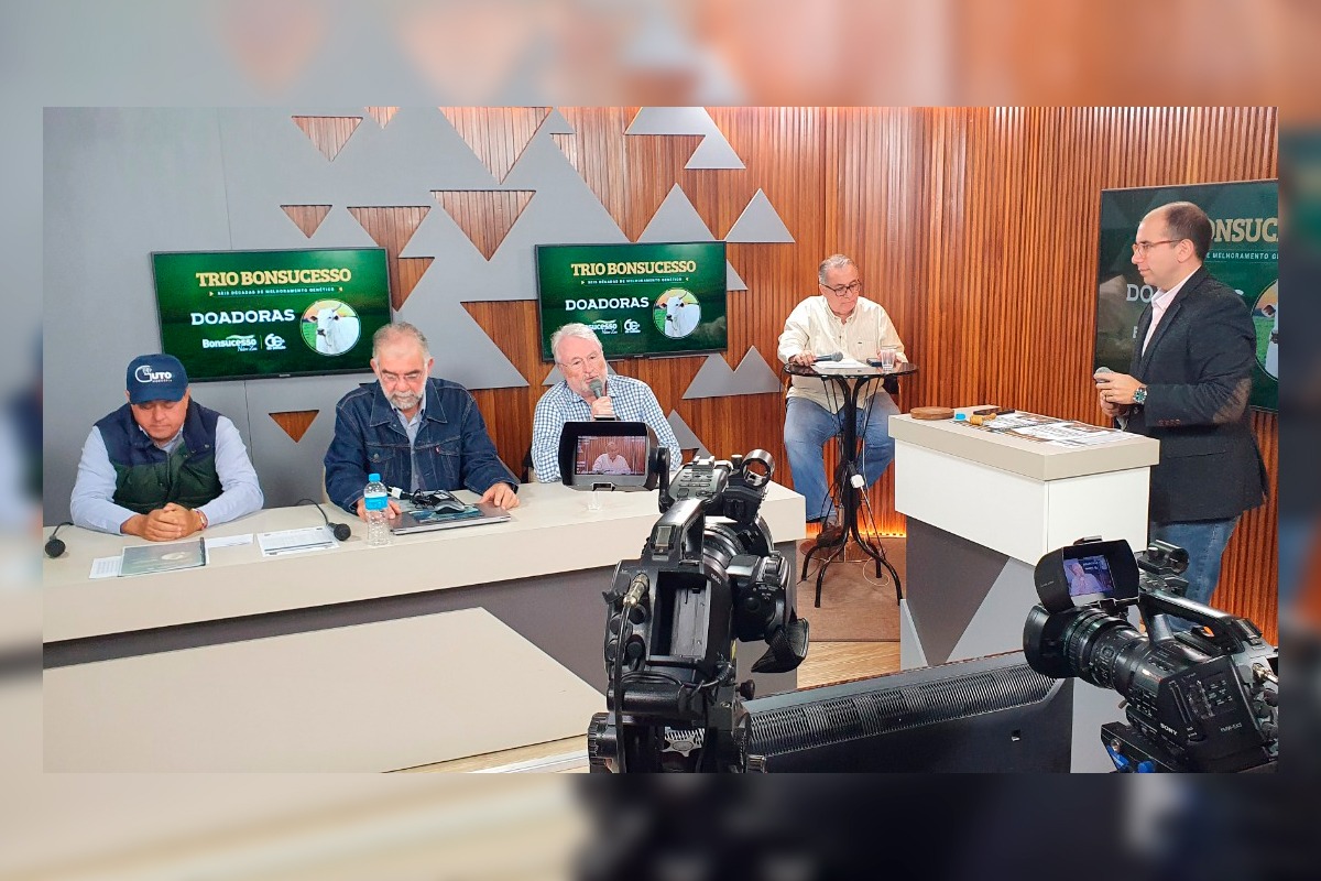 TRIO BONSUCESSO: leilões de Touros e Doadoras alcançam faturamento superior a 5 milhões